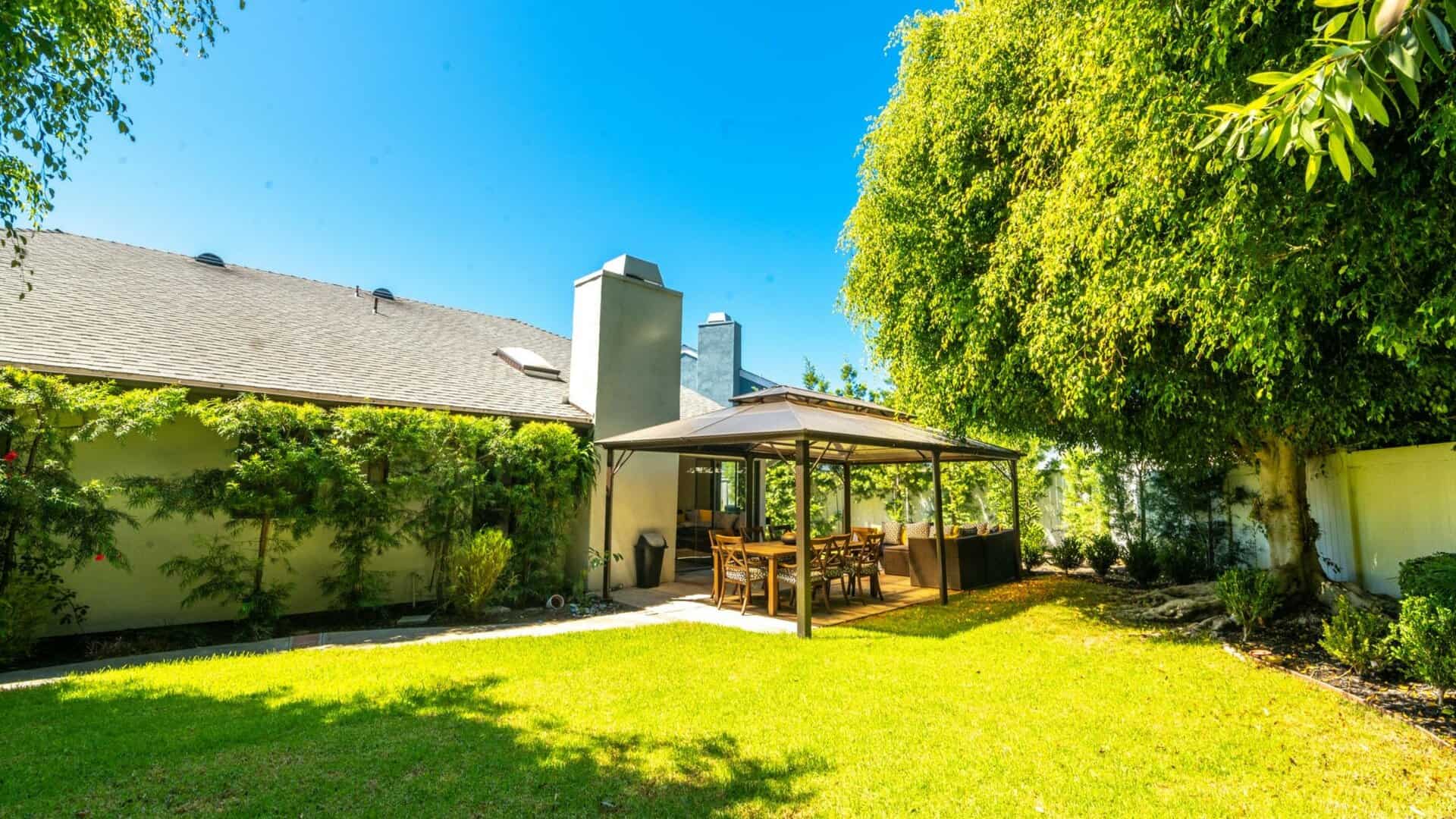 Beautiful scenery of green trees and grasses at New Journeys